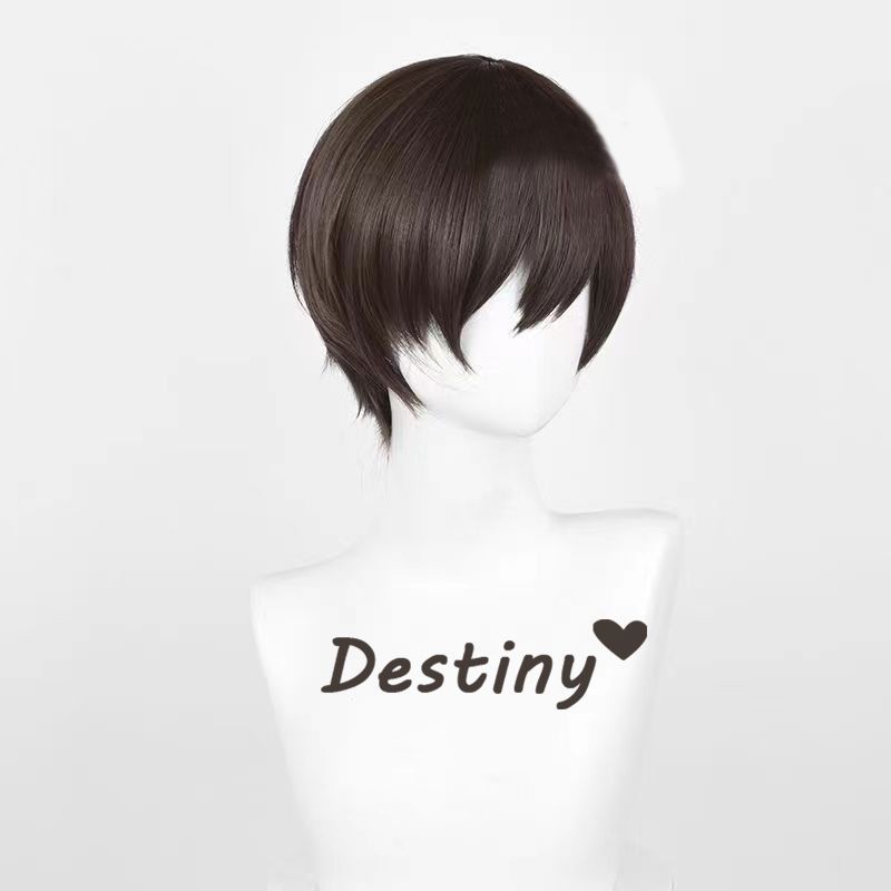 شعر مستعار بني قصير لشخصية هار - مراجعة Anime Cosplay Realistic وسعره