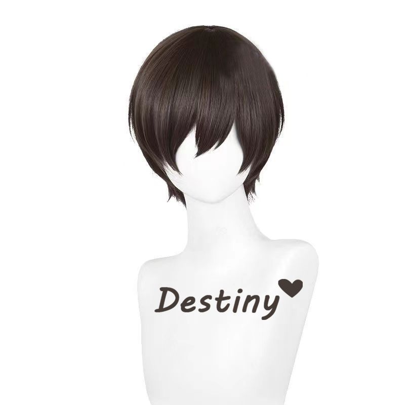 شعر مستعار بني قصير لشخصية هار - مراجعة Anime Cosplay Realistic وسعره